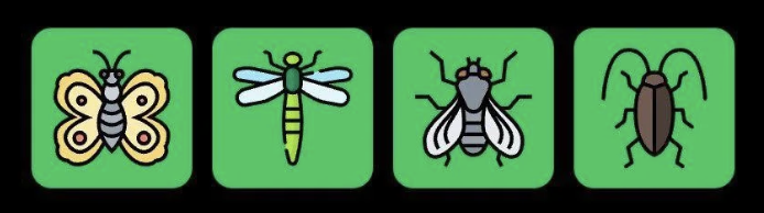 FLIES Daily Combo 1 July 2025